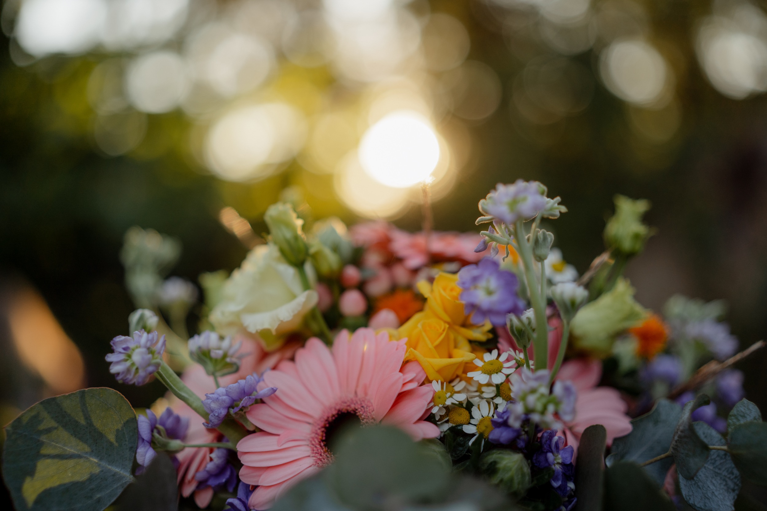 Svatba na Cervenem Hradku Leto 2025 38